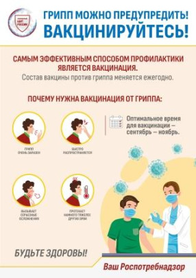 Профилактика гриппа Профилактика гриппа.